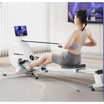 가정용로잉머신 노젓기 운동기구 에어 전신조정 유산소 로윙 조정 크로스핏, 아테네 블랙 8단 저항수동 저항 조정
