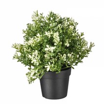 이케아 FEJKA 페이카 인조식물 타임 9cm 403.751.67, Artificial plants