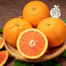 [후르츠타잔]당도보장 고당도 블랙라벨 오렌지 중과 88개 17kg (개당 180~210g), 단품