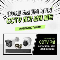 아이던스 300만화소 CCTV 세트 자가설치 실내 방범용 가정용 감시카메라, 300만화소 실외1세트 (50M케이블+어댑터)