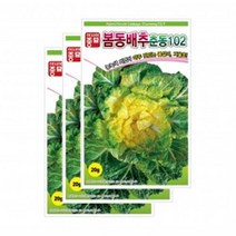 아시아종묘 봄동배추씨앗 춘동102 (20gx3) 월동배추씨앗