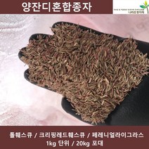 양잔디씨앗 혼합형잔디3종 1kg