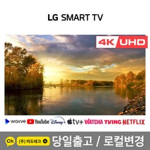 LG 55인치 4K 스마트 UHD TV 55UN7300 초고화질, 4. 지방권역 벽걸이 +상하브라켓
