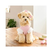 튤립 니트 프릴 강아지원피스