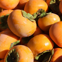 산지직송 경남 진영 아삭아삭 고당도 햇 단감 대과 1박스 5kg, 1개