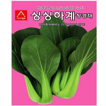 아시아종묘 싱싱하계 청경채 씨앗 120G 채소씨앗 쌈채소씨앗 청경채씨