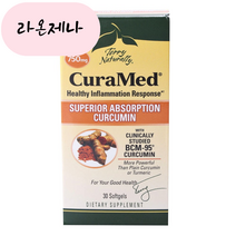 테리네츄럴리 큐라메드 수퍼리어 앱솔션 커큐민 750mg 30캡슐, 1개, 30개