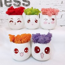 스마일컴퍼니 북유럽 이끼 5색 모스 세트, 빅 이모티콘