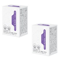 락토테미 하루 밸런스 유산균 플러스 4중 기능성 질 유래 프로바이오틱스 캡슐, 2세트, 500mg/30캡슐