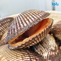 국내산 남해안 피조개 피꼬막 1kg, 피꼬막 3kg (42-54미)