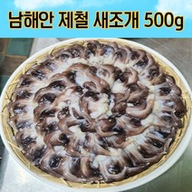 남해안 제철 새조개 500g 국산새조개 생물 새조개 횟감 새조개