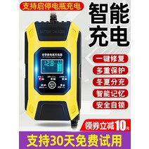 오토바이 방전 배터리 충전기 폭셔 자동차 차량용, 12V24V 범용 충전기 급속