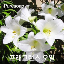 퓨어솝 백합(Lily) 프래그런스오일 (인공향 캔들 디퓨저 방향제) 캔들 디퓨져 화장품 만들기, 100ml