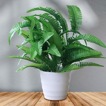 이츠굿텐 플랜테리어 조화 화분 인테리어조화 나무조화 안스리움 촬영소품, 10 보스턴고사리(대)