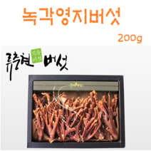 류충현약용버섯 녹각영지버섯 영지버섯 베타글루칸 최상급 국내산 효능 차, 1세트, 200g