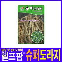 헬프팜 슈퍼도라지 으뜸 1000립 씨앗 제일종묘 종자