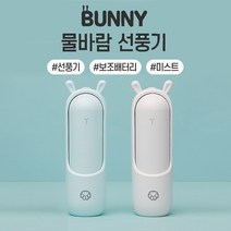 버니 물바람선풍기 3in1 선풍기 보조배터리 미스트, 민트