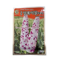 알록이 찰 옥수수 씨앗 80립 [23년포장] 제일 옥수수 종자