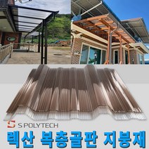 복층골판 일반형 렉산 폴리카보네이트 넥산 지붕재 온실 주택 해가림 비가림 축사, 1000X2100(일반형), 투명