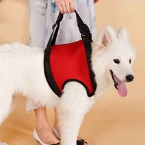 강아지 슬개골 탈구 변형 보조 붕대 보조기 보호대 재활도구, 붉은색[앞다리]을 거들다개, M-중형ml