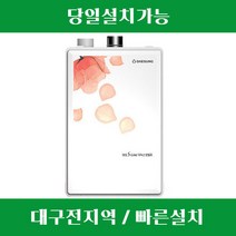 대구보일러 경북보일러 (대성쎌틱 친환경저녹스 DNB-25S) / 대구 경북 전지역 설치가능