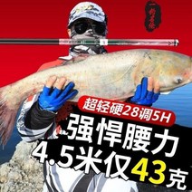 낚시대 원투낚시대 낚시용품 명륜 낚싯대 원낚싯대 잉어대 초경량 초경질 28조 붕어대 19어구세트, 10대 명품 10m+장대+럭셔리 선