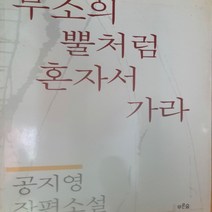 무소의 뿔처럼 혼자서 가라/공지영.푸른숲