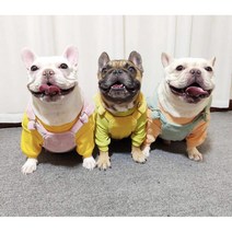(토토네) 골덴 멜빵 올인원 푸들 비숑 포메 말티즈 프렌치불독 슈나우저 웰시코기 닥스훈트옷 중형견옷 소형견옷S-2XL TO-00021, 핑크