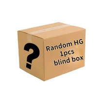 스트라이크프리덤 mgex 건담 메탈빌드 PG 애니메이션 주변 기기 건담 하이 간소 HG 1/144 펄스 데스티니 스타게이저 스트라이크 노아 프리덤 조립 모델 장난감 선물, 랜덤 HG 1개