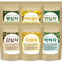 국화차 박하차 연잎차 감잎차 장미차 마리골드 구아바차 효능 먹는법 국화꽃차, 10_(티백)구아바차60티백