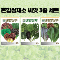 [농산다모임청상추] 혼합 쌈채소 씨앗 3종 세트 상추 쌈채 양상추 채소씨앗 주말농장 텃밭 홈가드닝