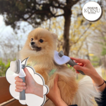 큐어펫 원터치브러쉬 포메라니안빗, 그레이