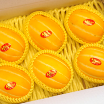 [산지직송] 성주참외 꿀 참외 선물용 선물세트 특품 최상급 2kg 5kg, 선물용로열과 5kg (15~20)