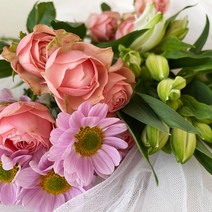 솜리플라워 2월 믹스 생화 랜덤 M사이즈 중형 꽃 한다발 택배 배송 생일 기념일 꽃꽂이, 생화 랜덤 S 한다발