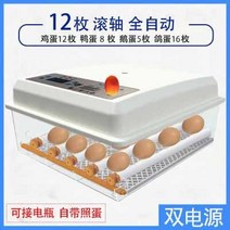 부화기 입문용 2021년 신상품 조류 자동 부화 병아리 계란부화기 36란 실험, 2. 계란 부화기 12란(더블 전기 자동)