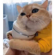 고양이 마사지 강아지 마사지기(투트랙 돌돌이 증정), 03.유광 블루