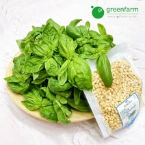 그린팜 생 바질 페스토재료 바질&잣(중국) 400g, 단품