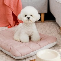 아망떼_펫 털 안붙는 알러지케어 애견방석M, M모카