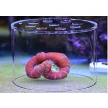 Marine Color 부드러운 산호 사료 사육 보호 커버 음식을 잃어버리지 않도록 보호(S), Small