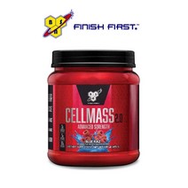 BNS 노익스 부스터 셀매스 샐매스 454g 블루레즈베리, BNS 셀매스 아틱베리 454g, 1개