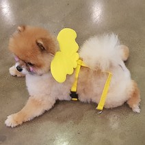예펫 날개 하네스 강아지 고양이 가슴줄, 하네스_핑크_S