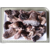 100%자연산 능이버섯 B급냉동/1kg, 1개