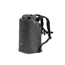 ICEMULE Jaunt 접을 수 있는 배낭 쿨러 – 핸즈프리 100% 방수 24시간 이상, Large - 15L, Snow Grey