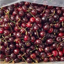 미국/칠레 톡톡 달달한 항공직송 프리미엄 생체리 고당도 17브릭스 2kg