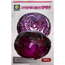 다농 크라운레드적양배추씨앗 100립, 1개