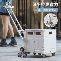 운반기 카트 캠핑 장바구니 배송 대형 안전바퀴 튼튼한 푸드트레일러 1톤화물차 농업용운반차 접이식 가구 파렛트 핸드 구루마 전참시 외발수레 박나래웨건 무거운짐옮기는도구 끌게 육묘상자, 단일사이즈, D