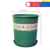 ZZJJC 화분 대전다육플라스틱 특대호 월계다육분재 화분수지갤런 화분, 하이 1갤런 [구경 16cm] 5개담는다., 화분 받침대 없음(비료 보내기)