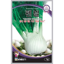 펜넬 씨앗 1g [23년포장] 다이어트 도와주는 채소 펜넬종자