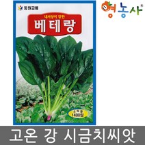 베테랑 시금치씨앗 1400립, 베테랑시금치