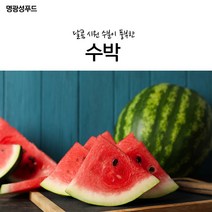 명광성푸드 날마다 과일나라 수박/명광성푸드 날마다 과일나라 수박/명광성푸드/날마다과일나라/과일/수박/여름/겨울/채소/국내/수입, 수박 7~10kg (2통)